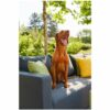 Loungeset Hartman Oliver – Bild 9
