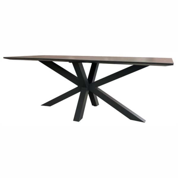 40780 Livingston Tisch 200x90cm light grey  2
