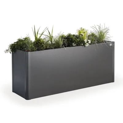 65922_pflanzbeet_belvedere_grm_dunkelgrau-met_mit_pflanzen_studio.d6211922
